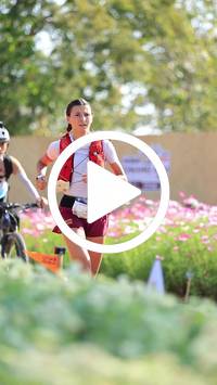 BIB:  <button type="button" onclick="openModal(27584074)" class="btn btn-primary btn-sm float-right" data-toggle="modal" data-target=".modal-high-quality">
                <i class="fa fa-download"></i> Download
                </button>